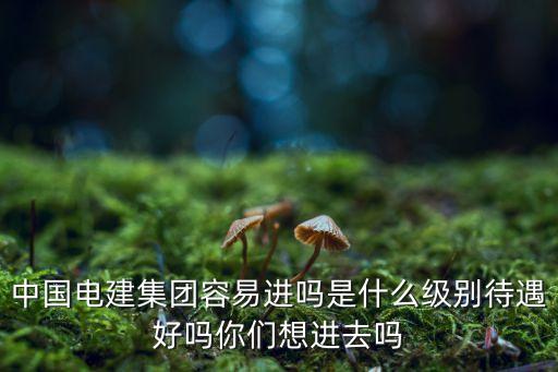 中國電建集團(tuán)容易進(jìn)嗎是什么級(jí)別待遇好嗎你們想進(jìn)去嗎