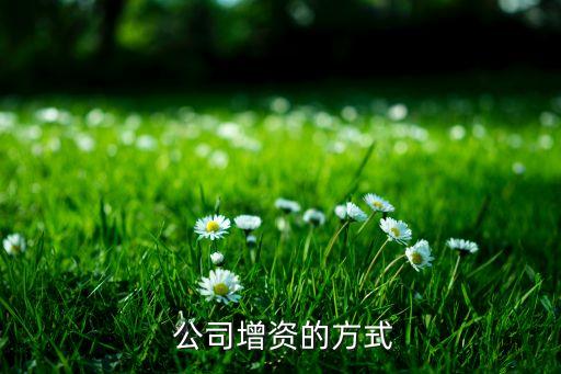  公司增資的方式