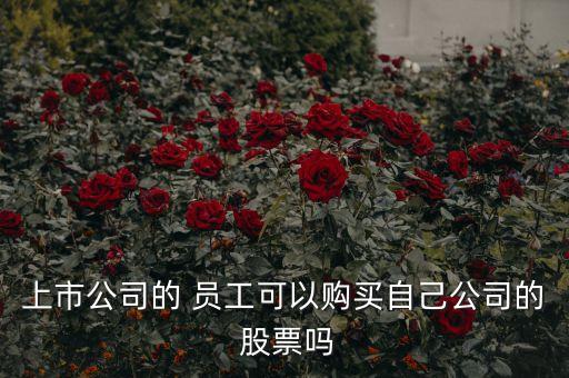 上市公司的 員工可以購(gòu)買(mǎi)自己公司的 股票嗎