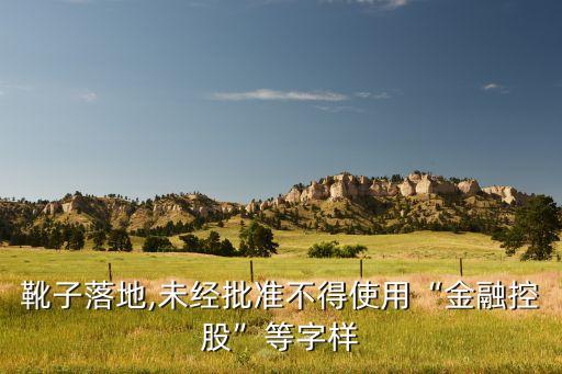 寶能金控集團,寶控集團有限公司