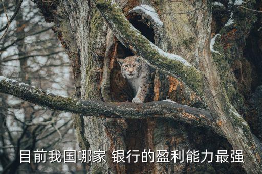 目前我國(guó)哪家 銀行的盈利能力最強(qiáng)