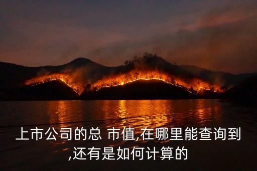 上市公司的總 市值,在哪里能查詢(xún)到,還有是如何計(jì)算的