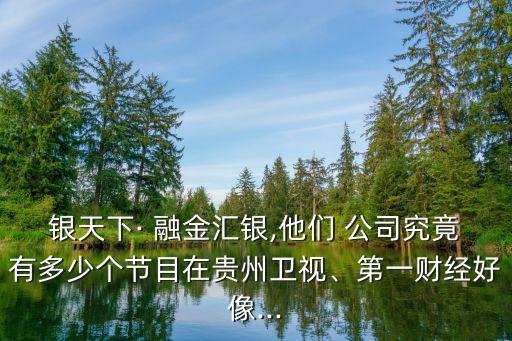 銀天下· 融金匯銀,他們 公司究竟有多少個(gè)節(jié)目在貴州衛(wèi)視、第一財(cái)經(jīng)好像...