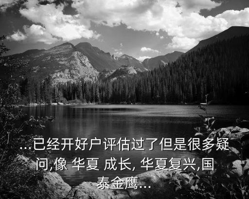 ...已經(jīng)開好戶評(píng)估過了但是很多疑問,像 華夏 成長(zhǎng), 華夏復(fù)興,國(guó)泰金鷹...