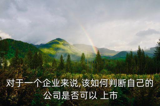 對于一個(gè)企業(yè)來說,該如何判斷自己的 公司是否可以 上市