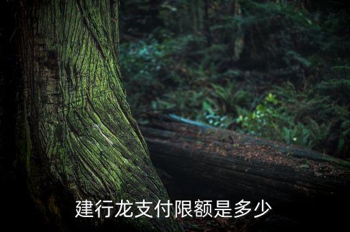建行龍支付限額是多少