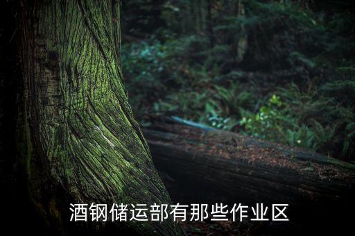  酒鋼儲(chǔ)運(yùn)部有那些作業(yè)區(qū)