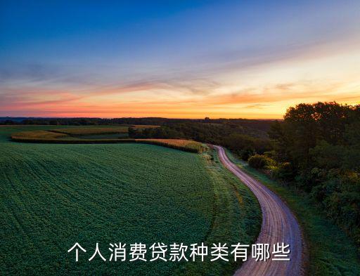 個人消費(fèi)貸款種類有哪些