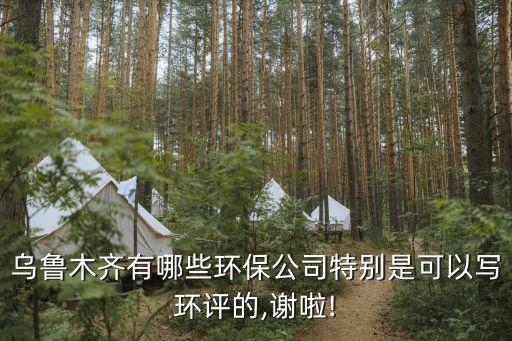 烏魯木齊有哪些環(huán)保公司特別是可以寫環(huán)評的,謝啦!