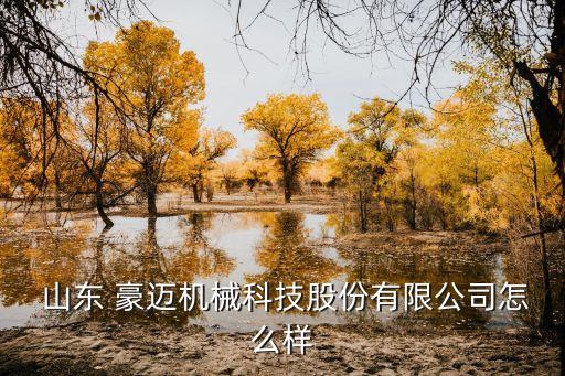 山東豪邁集團
