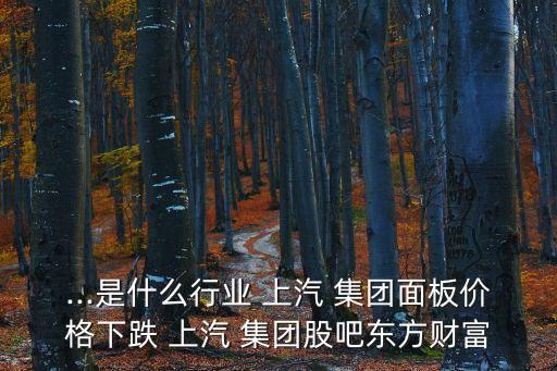 ...是什么行業(yè) 上汽 集團(tuán)面板價(jià)格下跌 上汽 集團(tuán)股吧東方財(cái)富