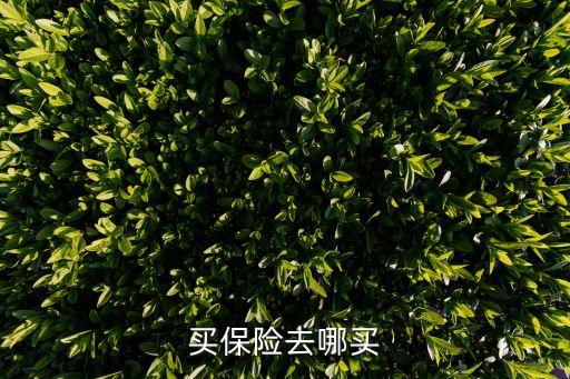 買保險(xiǎn)去哪買