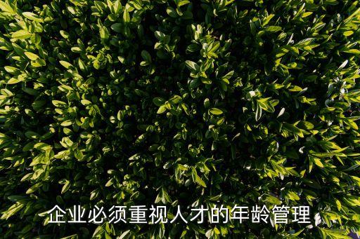 企業(yè)必須重視人才的年齡管理