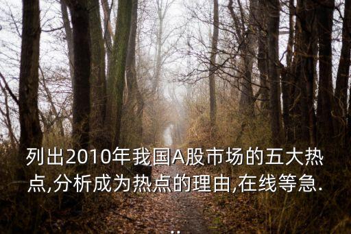 列出2010年我國A股市場的五大熱點(diǎn),分析成為熱點(diǎn)的理由,在線等急...