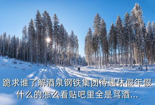 跪求誰(shuí)了解酒泉鋼鐵集團(tuán)待遇休假年假什么的怎么看貼吧里全是罵酒...