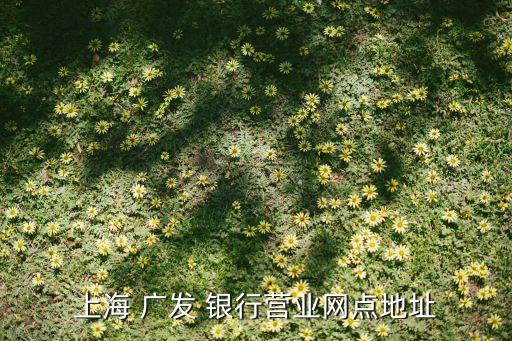 上海 廣發(fā) 銀行營(yíng)業(yè)網(wǎng)點(diǎn)地址