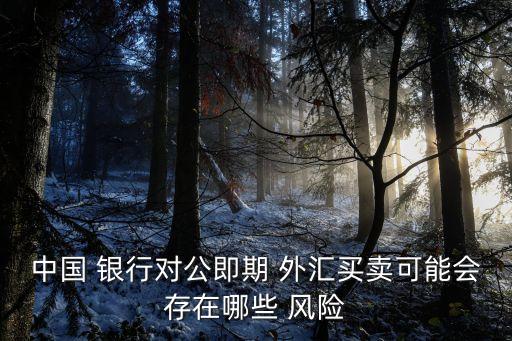 中國(guó) 銀行對(duì)公即期 外匯買賣可能會(huì)存在哪些 風(fēng)險(xiǎn)