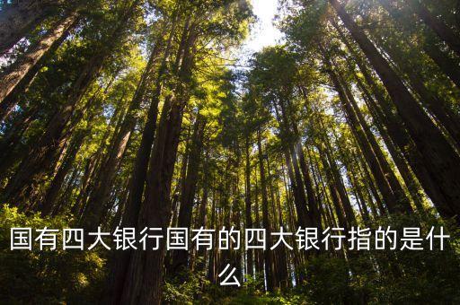 國(guó)有四大銀行國(guó)有的四大銀行指的是什么