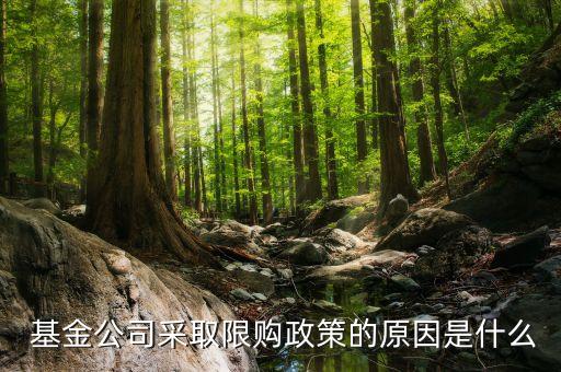 基金為什么要限制大額申購,為什么大額轉(zhuǎn)賬會被限制