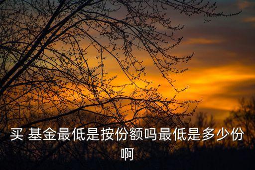 買 基金最低是按份額嗎最低是多少份啊
