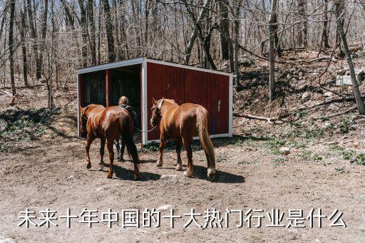 未來(lái)十年中國(guó)的十大熱門行業(yè)是什么