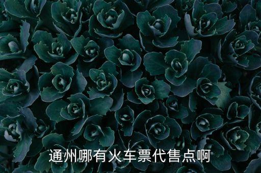 通州哪有火車票代售點啊