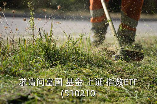 求請問富國 基金 上證 指數ETF(510210