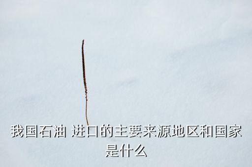 中國進(jìn)口伊朗