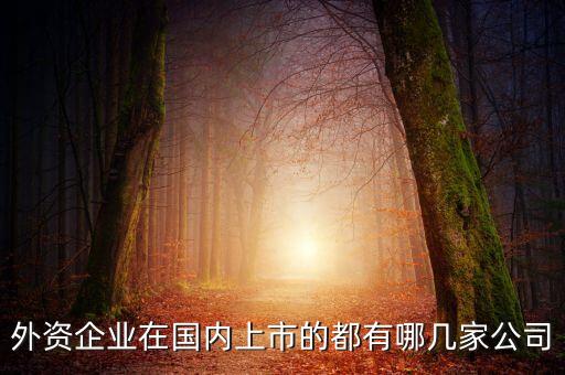 外資企業(yè)在國(guó)內(nèi)上市的都有哪幾家公司