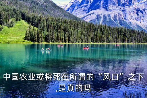中國(guó)農(nóng)業(yè)或?qū)⑺涝谒^的“風(fēng)口”之下,是真的嗎