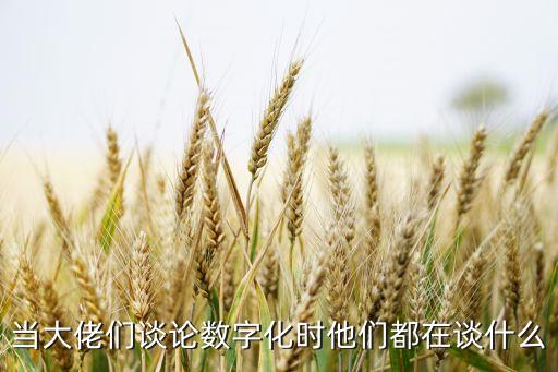 當大佬們談?wù)摂?shù)字化時他們都在談什么
