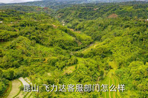 昆山 飛力達客服部門怎么樣