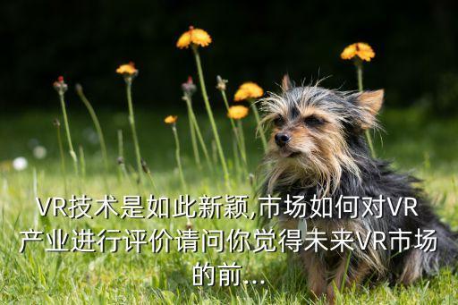 VR技術(shù)是如此新穎,市場(chǎng)如何對(duì)VR產(chǎn)業(yè)進(jìn)行評(píng)價(jià)請(qǐng)問(wèn)你覺(jué)得未來(lái)VR市場(chǎng)的前...