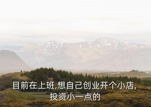 目前在上班,想自己創(chuàng)業(yè)開個小店, 投資小一點的