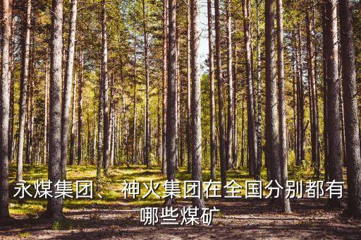 永煤集團(tuán)、 神火集團(tuán)在全國(guó)分別都有哪些煤礦