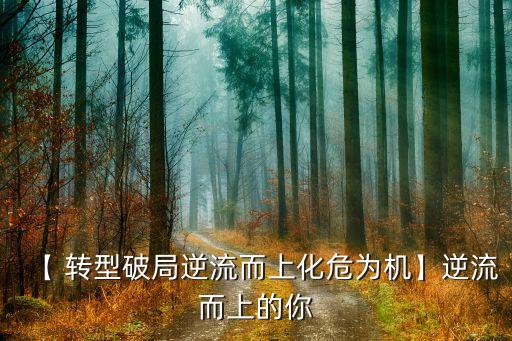 公司轉型新聞,個人對公司轉型的建議