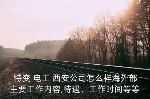  特變 電工 西安公司怎么樣海外部主要工作內(nèi)容,待遇、工作時間等等