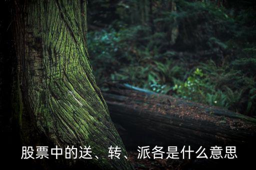  股票中的送、轉(zhuǎn)、派各是什么意思