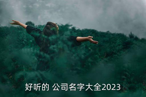 好聽(tīng)的 公司名字大全2023