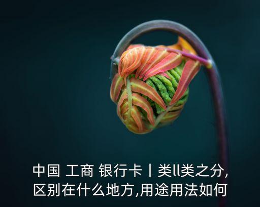 中國(guó) 工商 銀行卡丨類ll類之分,區(qū)別在什么地方,用途用法如何