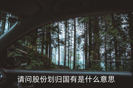 請(qǐng)問股份劃歸國(guó)有是什么意思