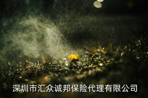  深圳市匯眾誠邦保險(xiǎn)代理有限公司