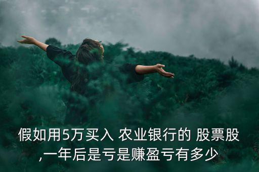 假如用5萬(wàn)買入 農(nóng)業(yè)銀行的 股票股,一年后是虧是賺盈虧有多少