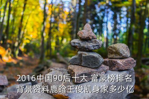 2016中國90后十大 富豪榜排名 背景資料鹿晗王俊凱身家多少億