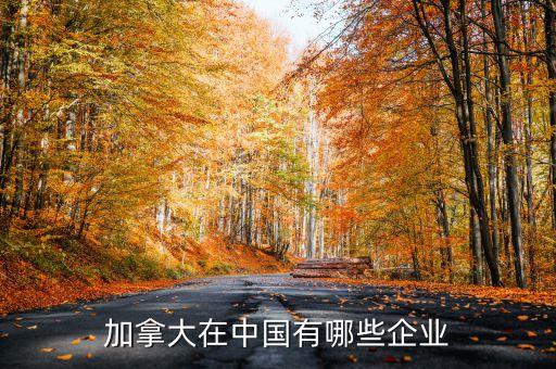 智能健身股票,威爾士健身股票