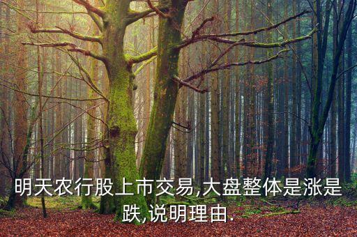 農(nóng)業(yè)銀行股票發(fā)展前景,濰柴動力股票發(fā)展前景怎么樣