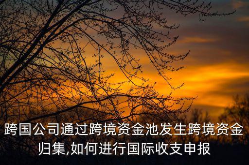 銀行應(yīng)查詢(xún)資本金流入控制信息表