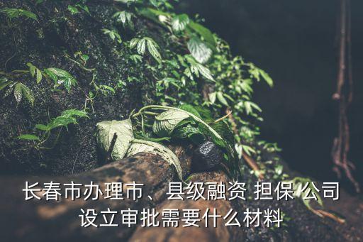 長(zhǎng)春市辦理市、縣級(jí)融資 擔(dān)保 公司設(shè)立審批需要什么材料