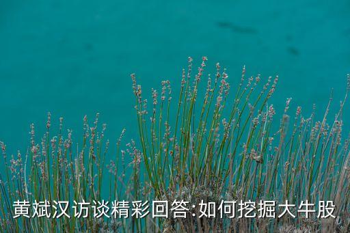 黃斌漢訪談精彩回答:如何挖掘大牛股
