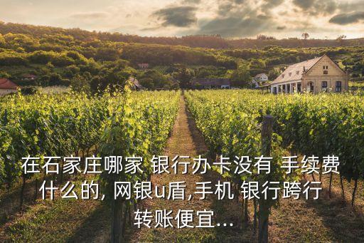 在石家莊哪家 銀行辦卡沒有 手續(xù)費什么的, 網(wǎng)銀u盾,手機 銀行跨行 轉賬便宜...